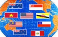 TPP Và Yếu Tố Mỹ Trong Nền Chính Trị Việt Nam